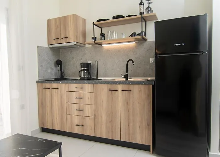 公寓 Olea Palioura *