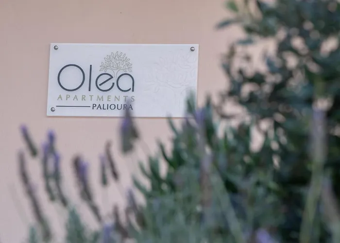 公寓 Olea Palioura *