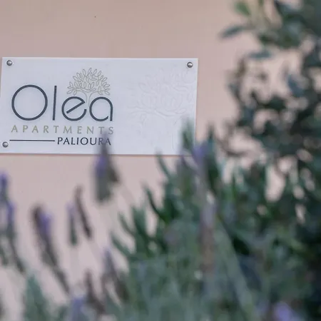 아파트 Olea Palioura *